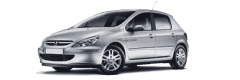 Логотип Peugeot 307